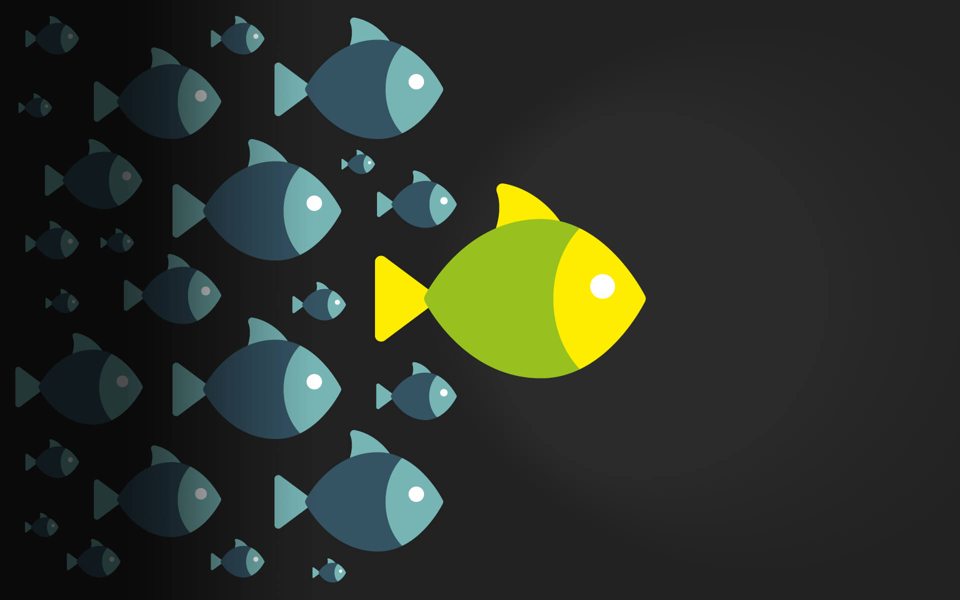 matter of design, Influencer Marketing, Social Media