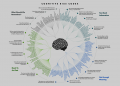 Heuristics and Biases