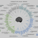 Heuristics and Biases